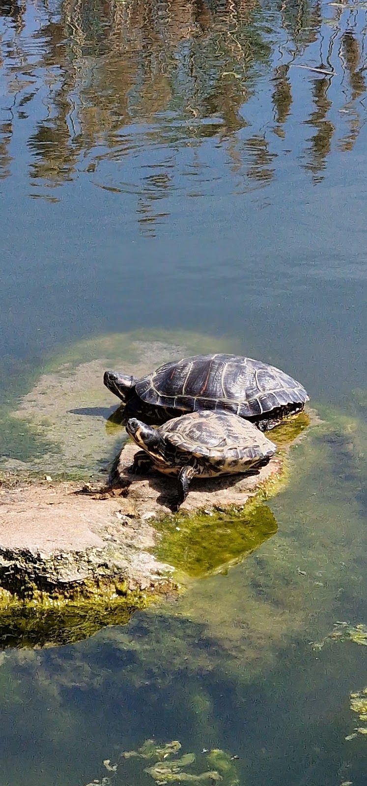 1. KC Grüngürtel - Photo 3