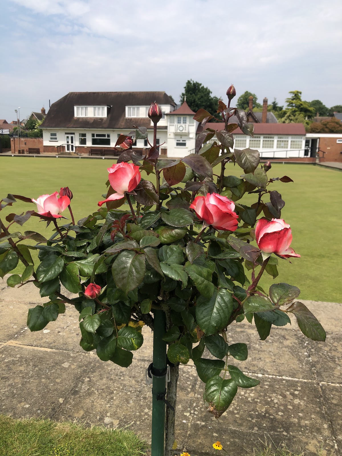 Abington Lawn Tennis Club - Photo 2