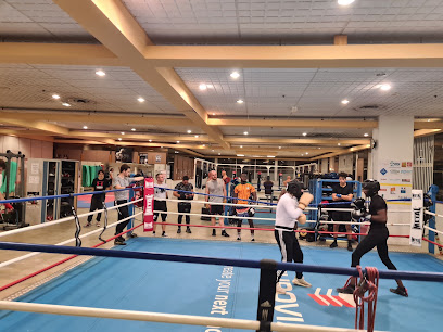 Académie de boxe Toulouse - Photo principale
