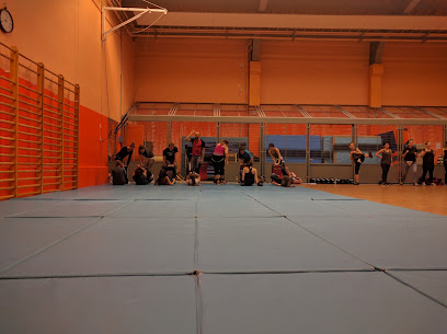 Académie Des Arts de Combat - Photo principale