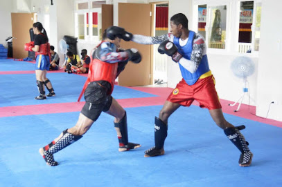 Académie Wukong Wushu