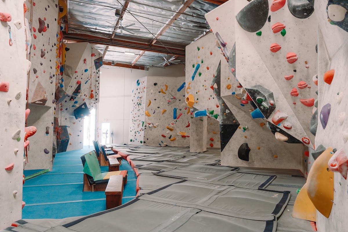 Aesthetic Climbing Gym - Photo 2