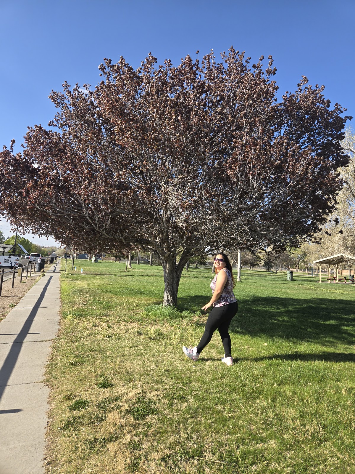 Alamosa Park - Photo 3
