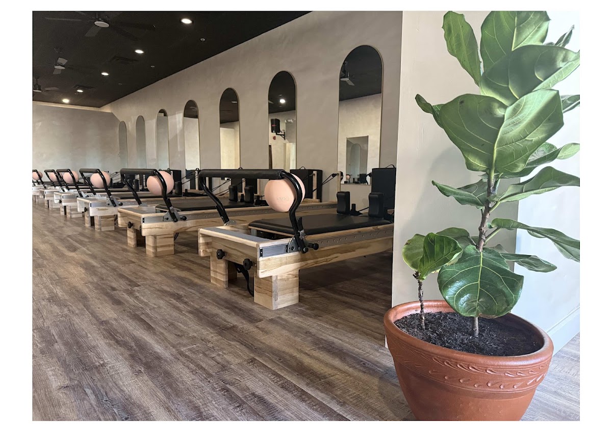 Align Collective Pilates - Photo 2
