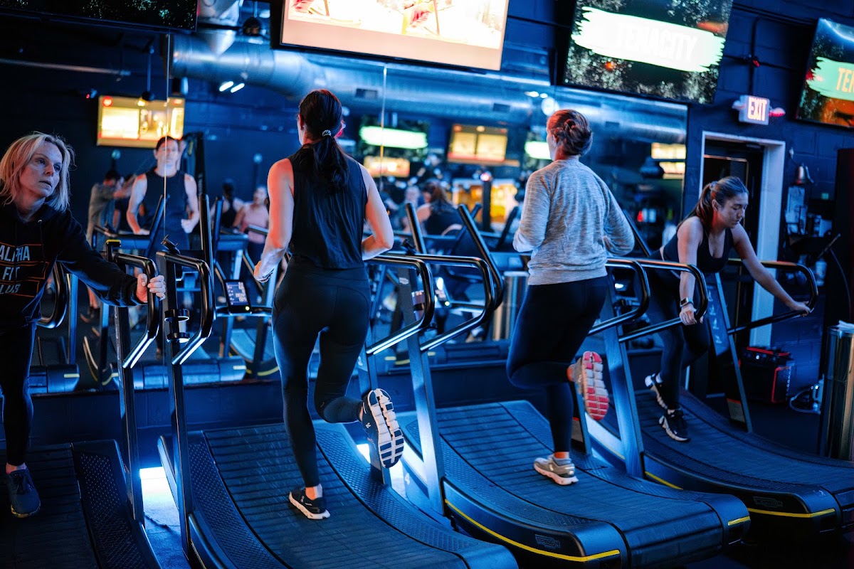 Alpha Fit Club - Photo 2