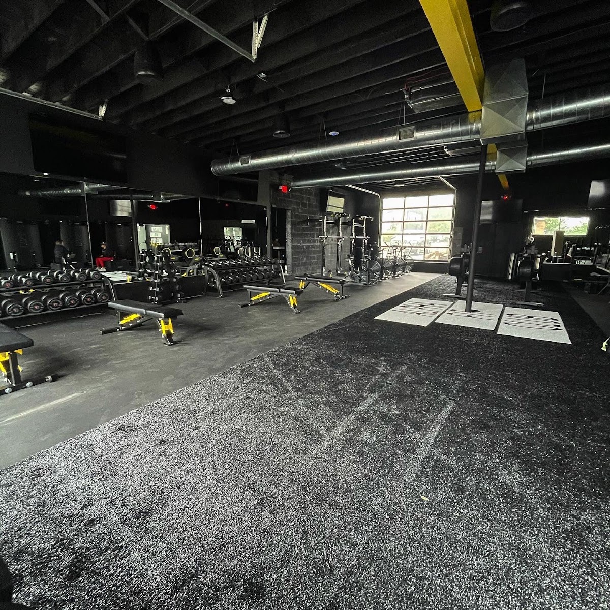 Alpha Fit Club