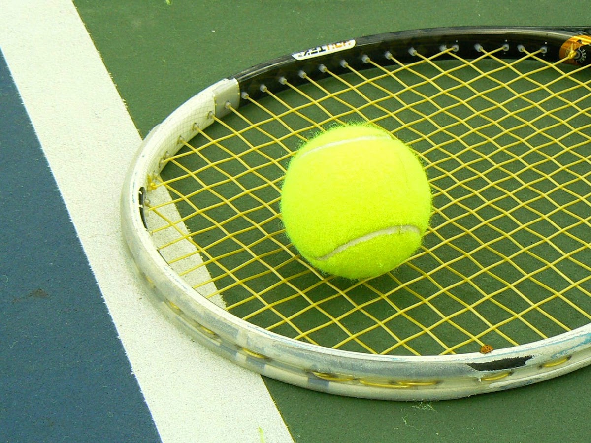 Alpha Tennis and Fitness of Pittsburgh - Photo 3