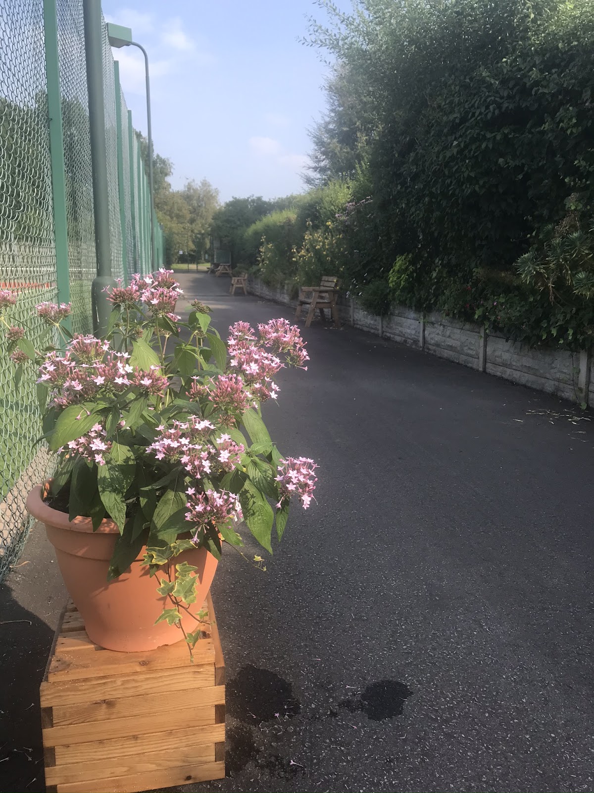 Alsager Lawn Tennis Club - Photo 3