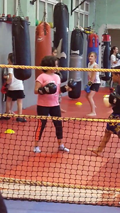 Américan Boxing Club Cheminot Nimois - Photo principale