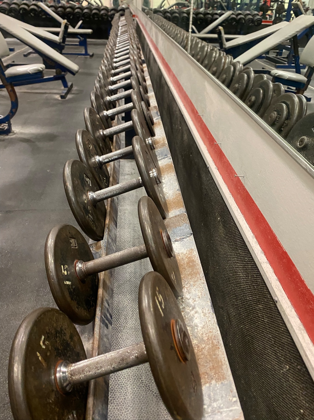 Amerifit Fitness Club - Photo 3