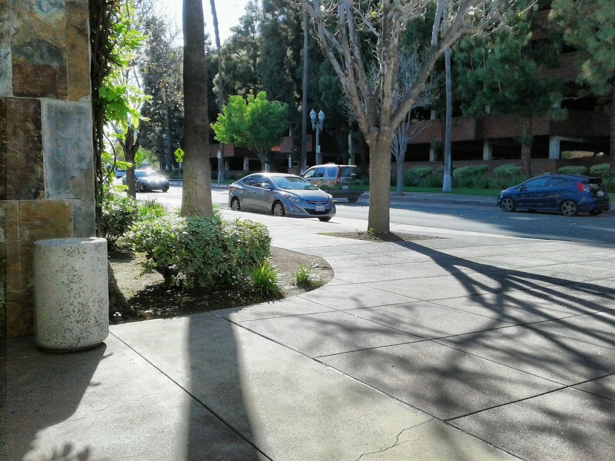 Anaheim Table Tennis Club - Photo 3