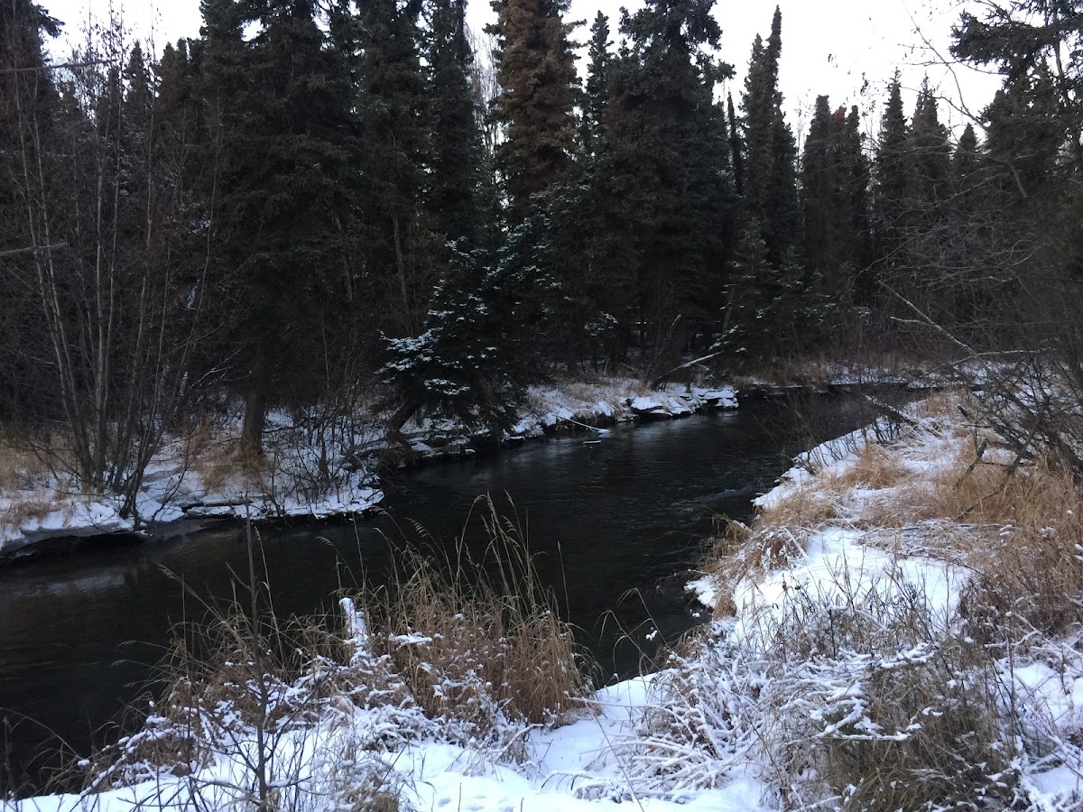 Anchorage Parks & Recreation - Photo 3