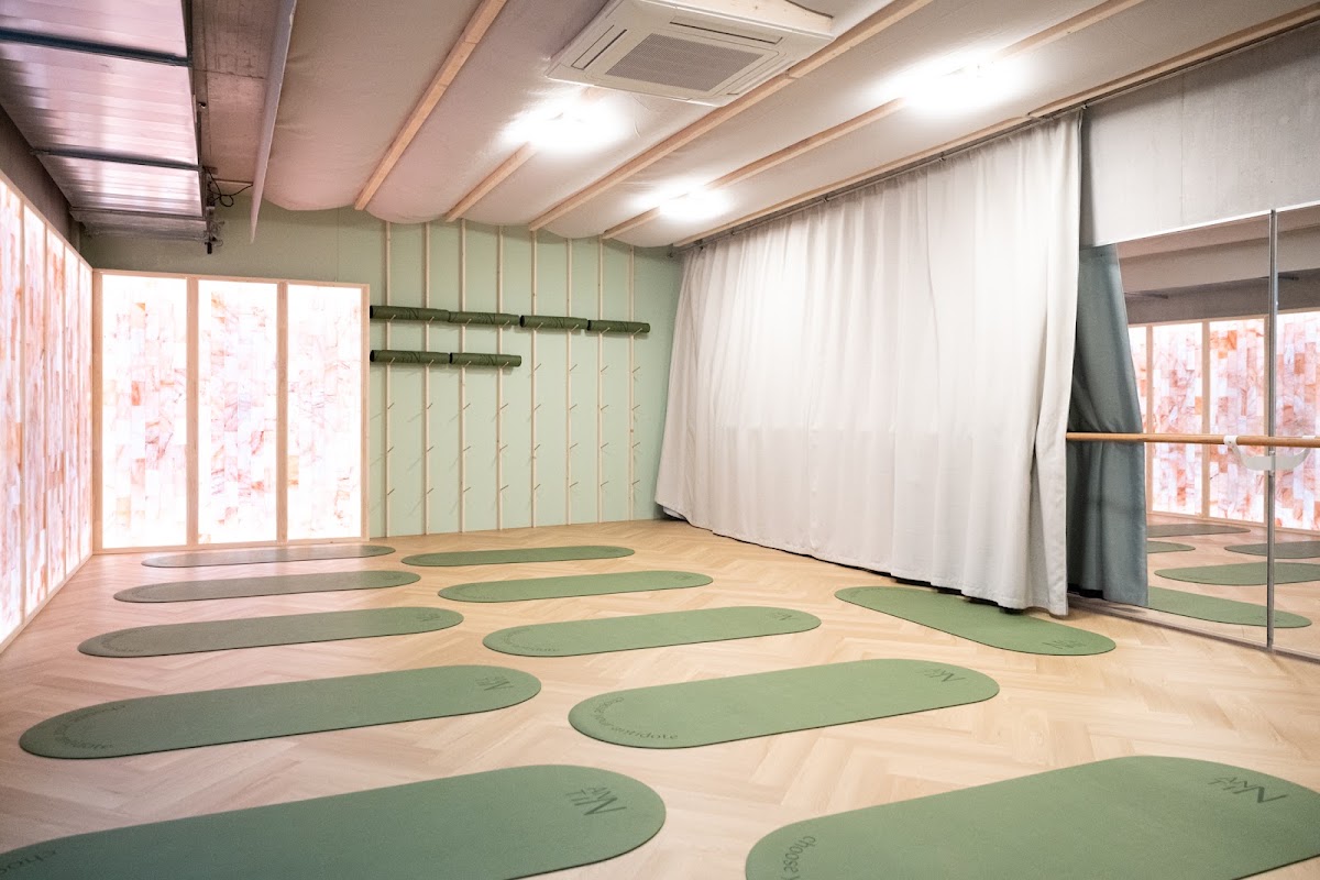 ANNTIN | wellbeing studio | reformer pilates, yoga, dance, relaxation - Photo 3