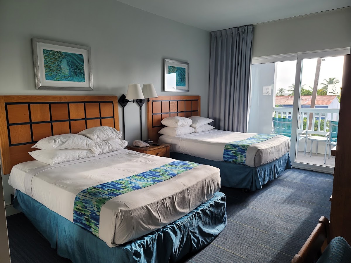 Aquarius Vacation Club at Dorado del Mar - Photo 2