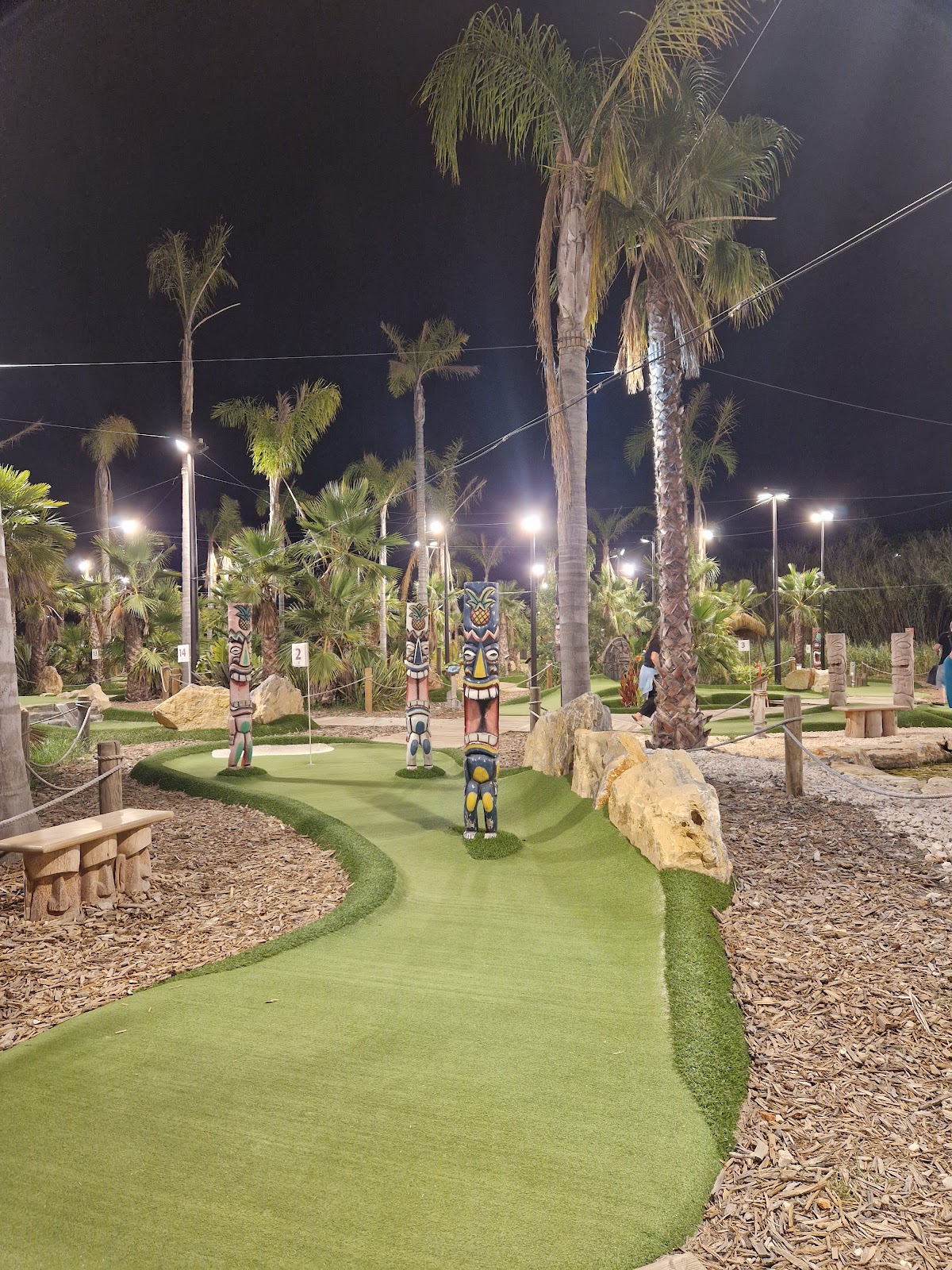 Aquatica Mini-Golf - Photo 3