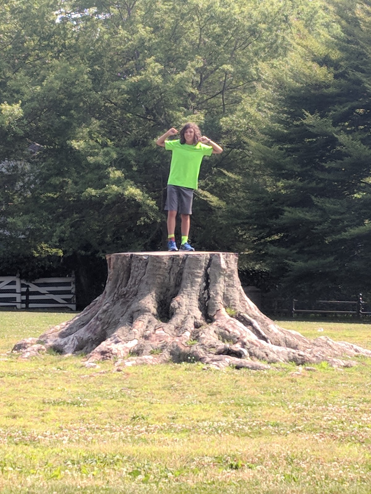 Aquidneck Park/ The Hut - Photo 3
