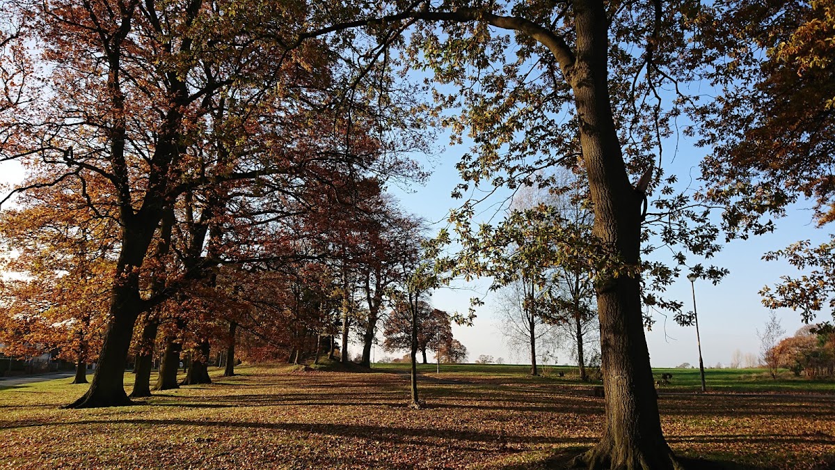 Ashton Park - Photo 2
