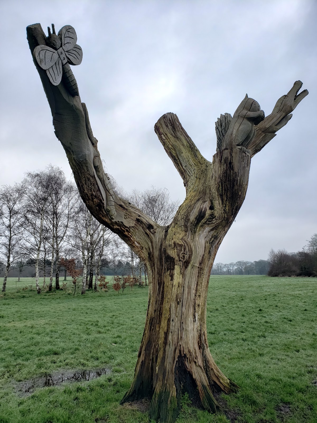 Ashton Park - Photo 3