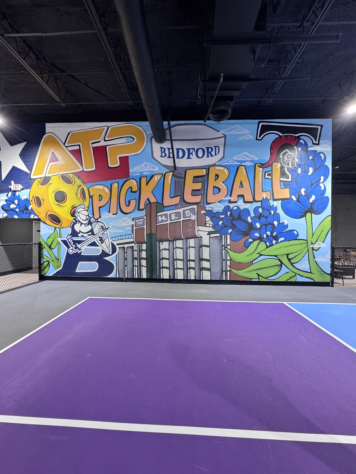 ATP Pickleball - Photo 2