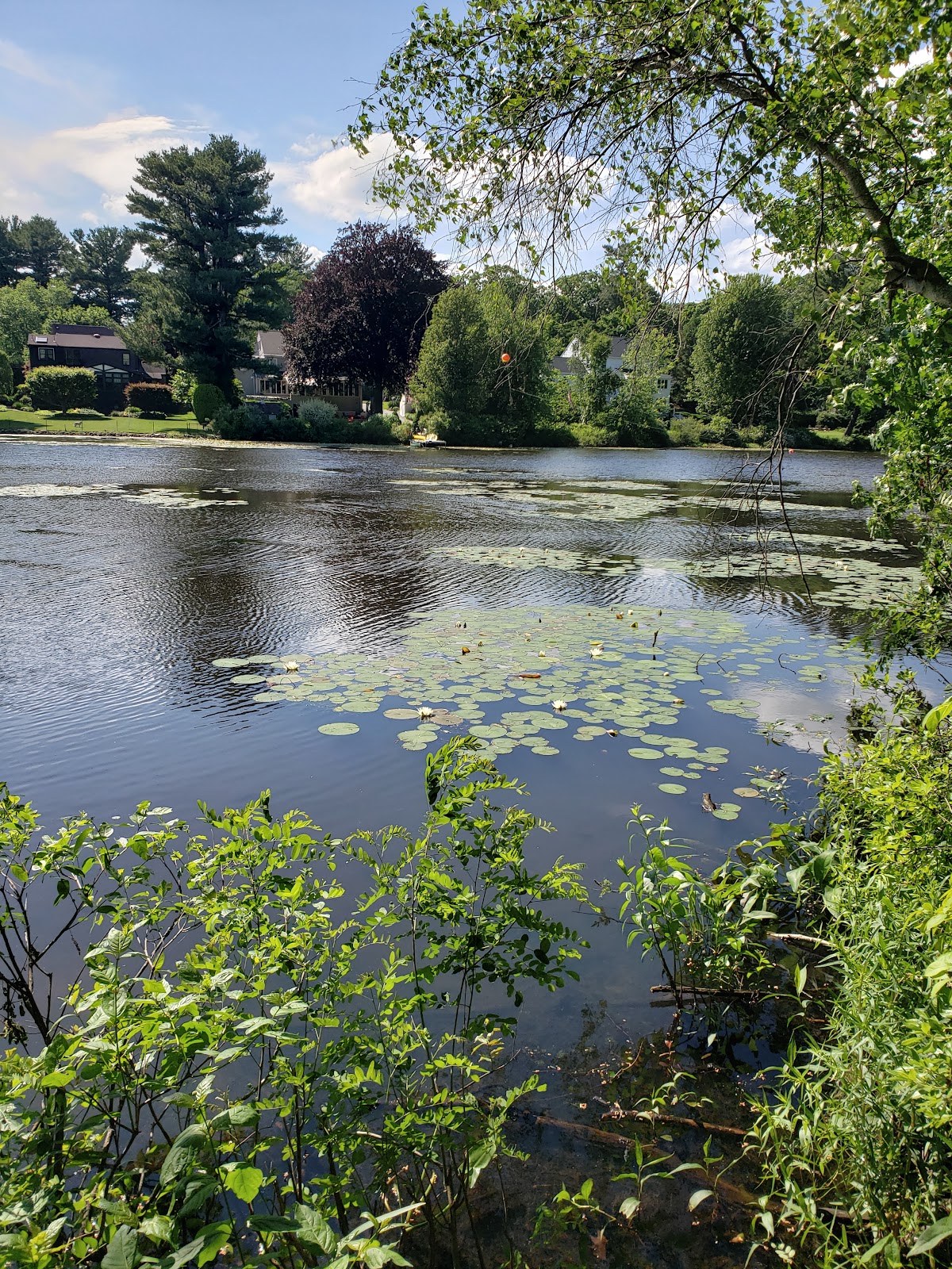 Auburndale Cove - Photo 1