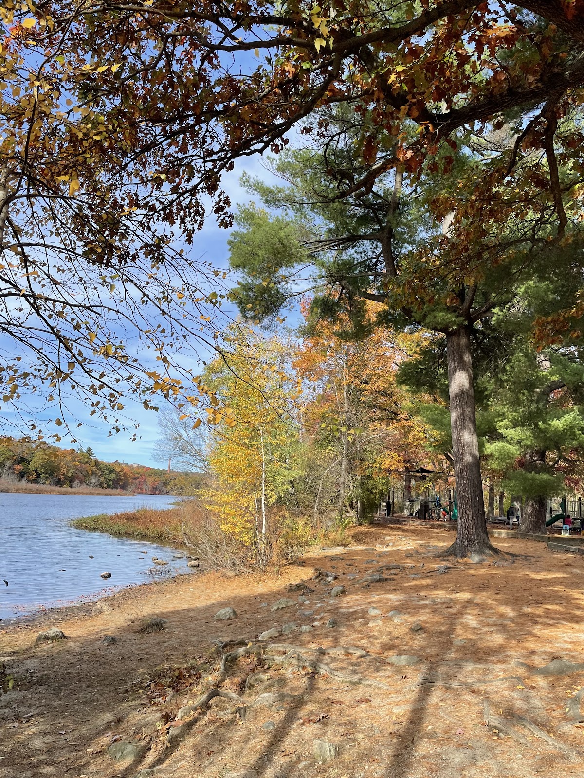 Auburndale Cove - Photo 2