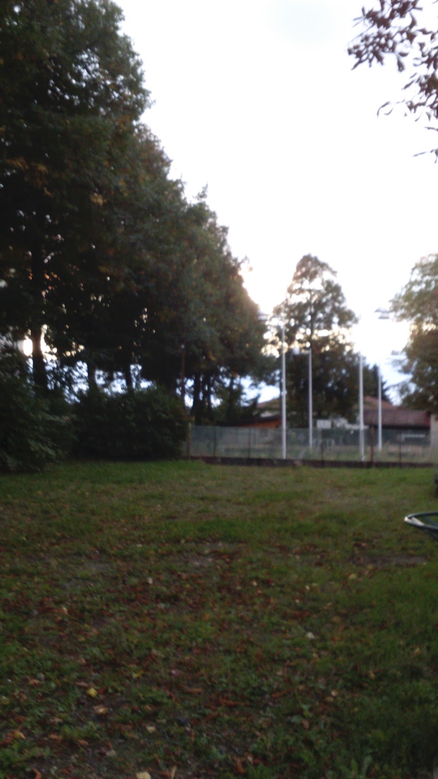 AUVR Badminton