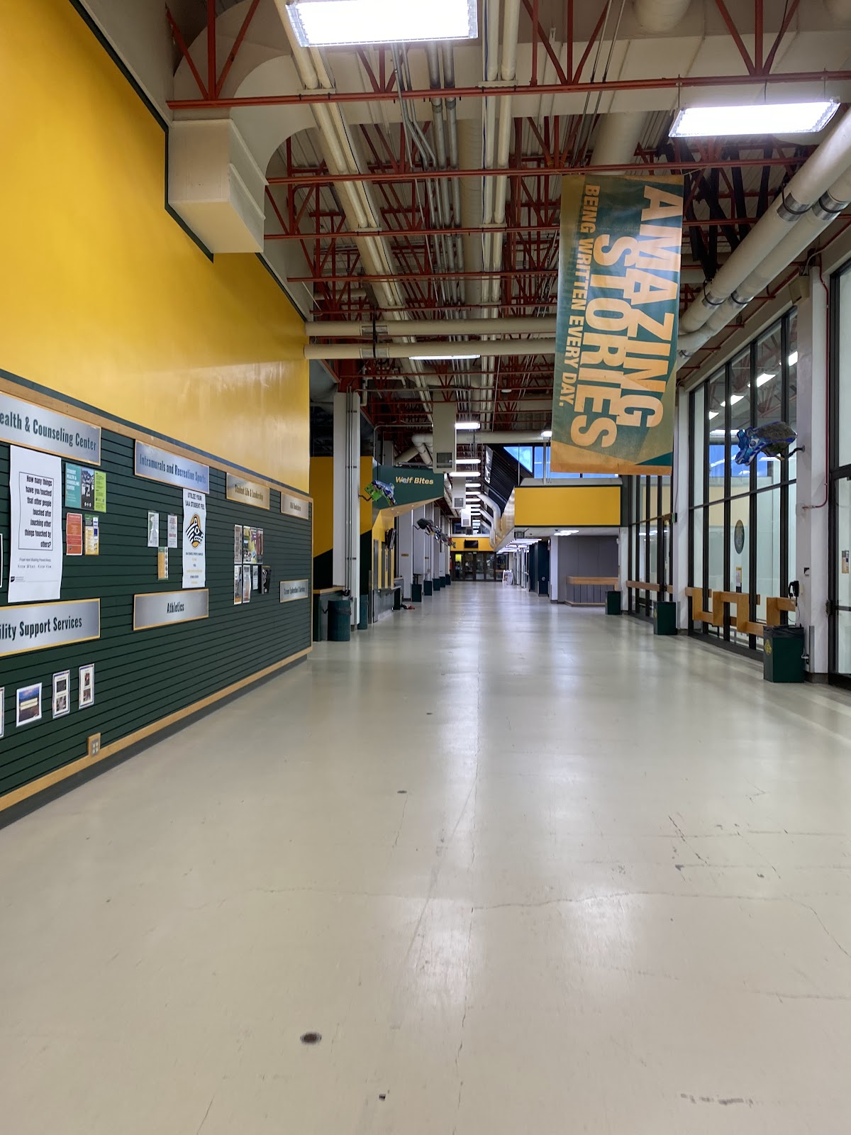 Avis Alaska Sports Complex - Photo 3
