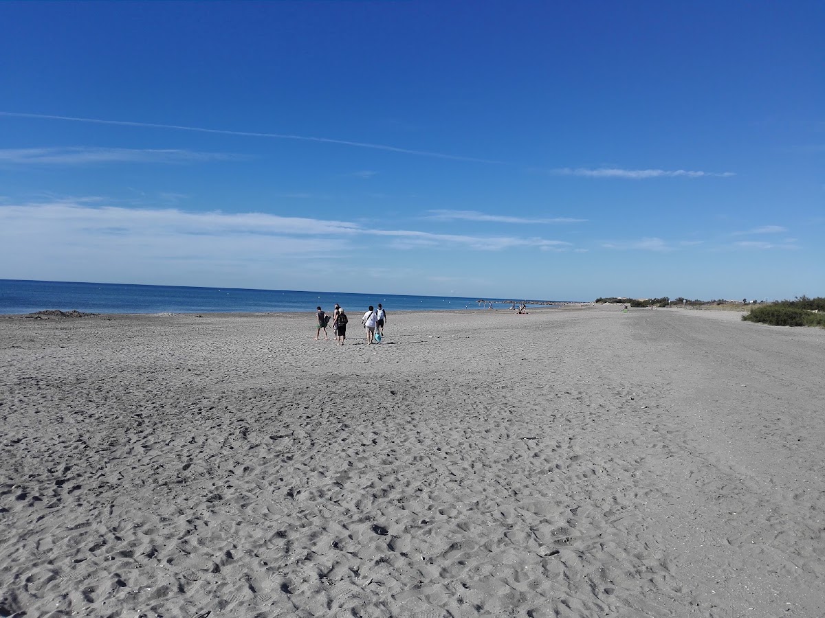 AS Frontignan AC - Photo 3