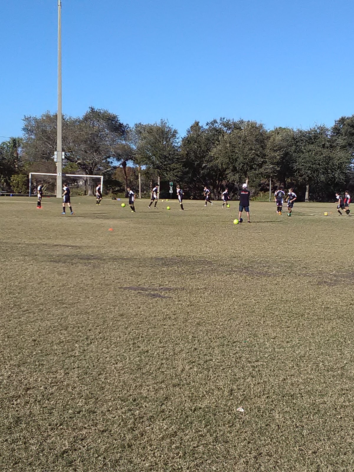 Azalea Youth Soccer League - Photo 2