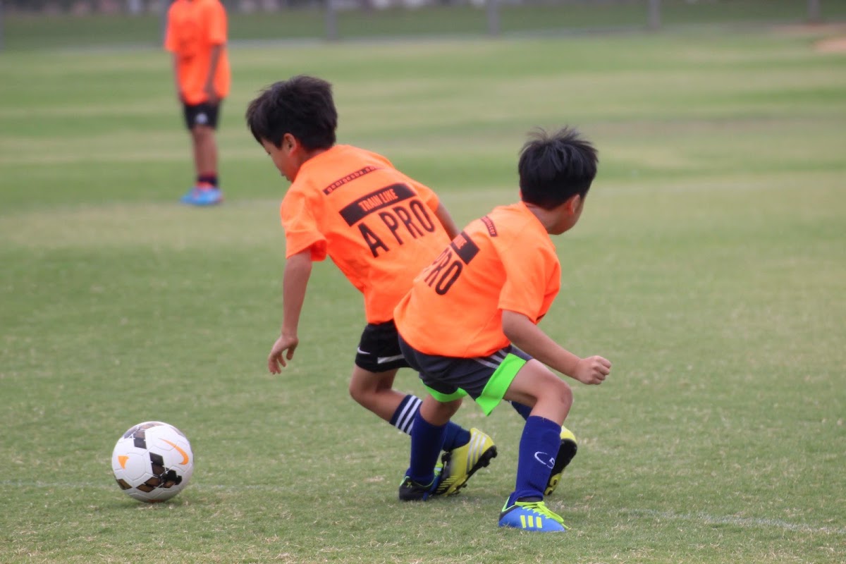 Ba Soccer Academy - Photo 2
