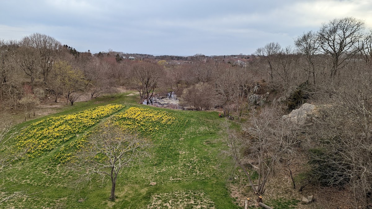 Ballard Park - Photo 2