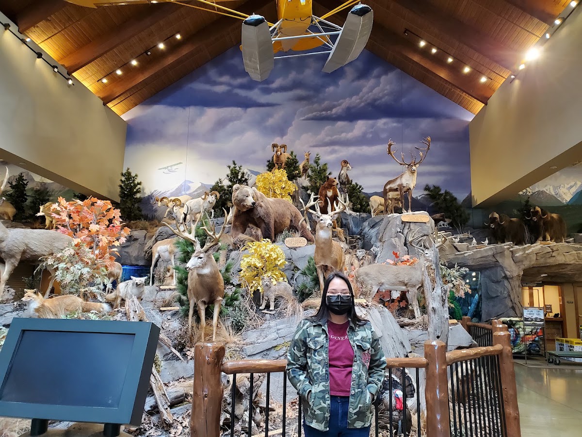 Bass Pro Shops - Photo 2