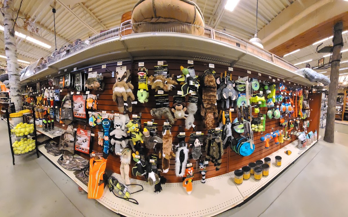 Bass Pro Shops - Photo 2