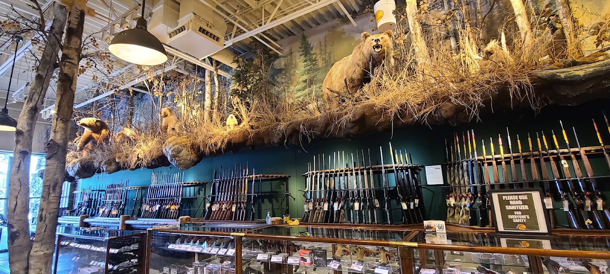 Bass Pro Shops - Photo 3