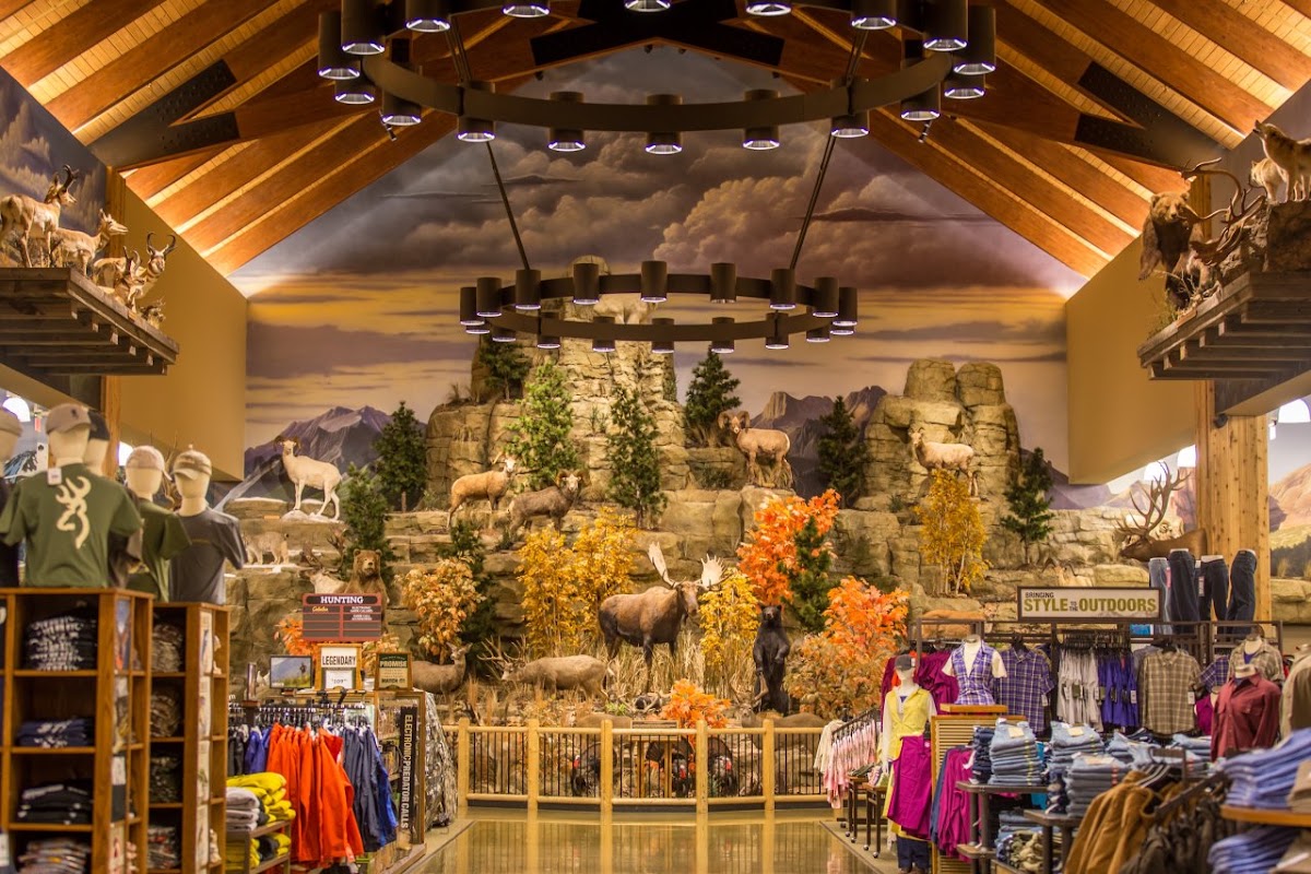 Bass Pro Shops - Photo 2