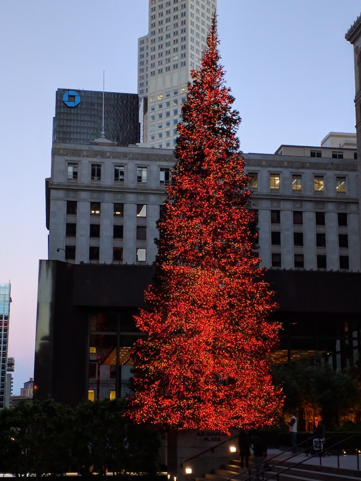 Bay Club Financial District - Photo 3