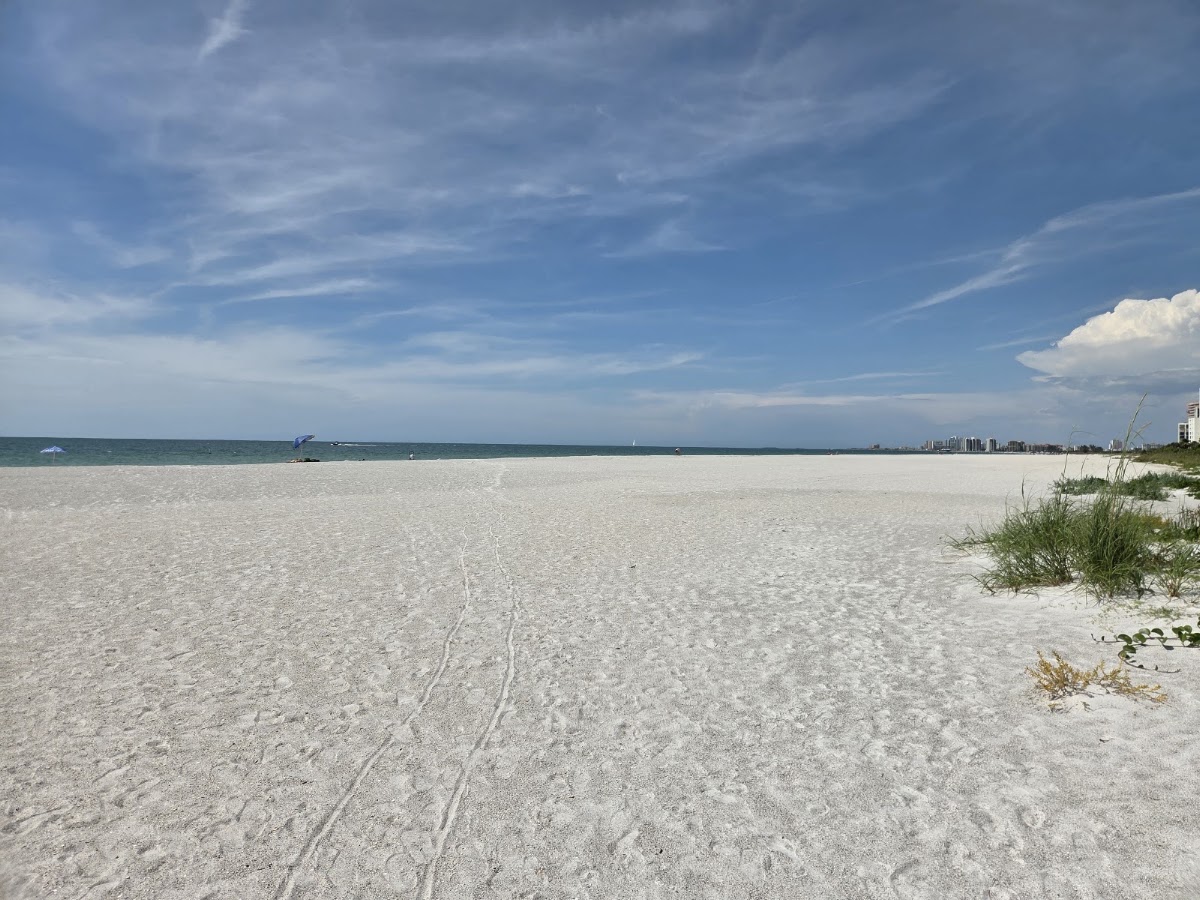 Bay Park on Sand Key - Photo 1