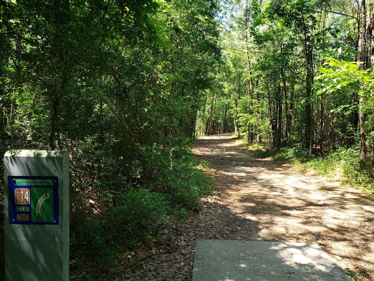 Bear Branch Sportsfields - Photo 2