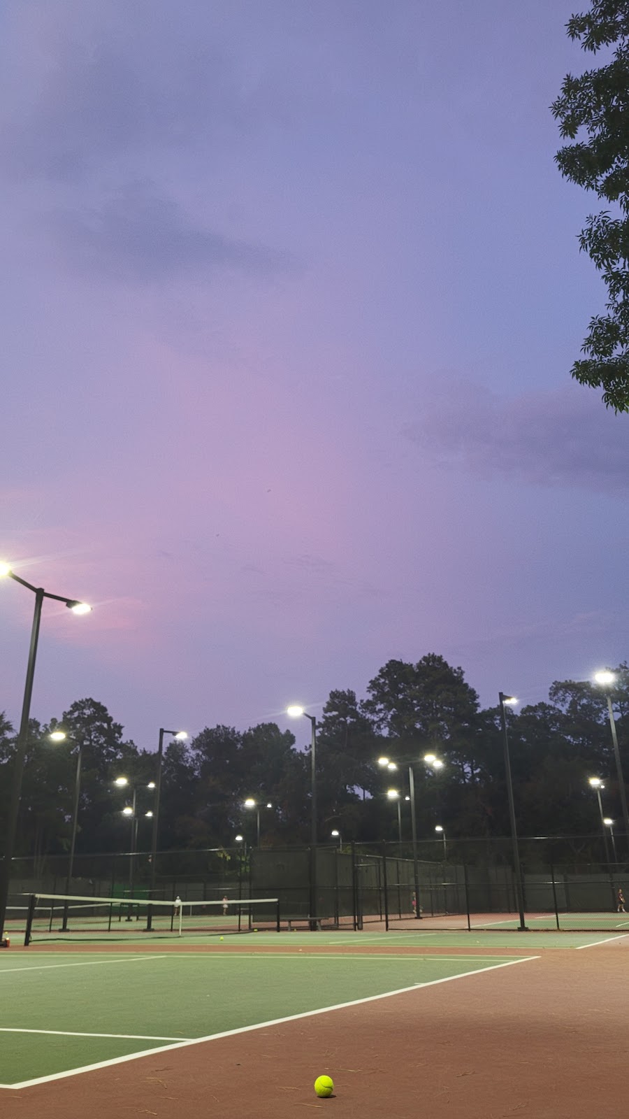 Bear Branch Tennis Court - Photo 3