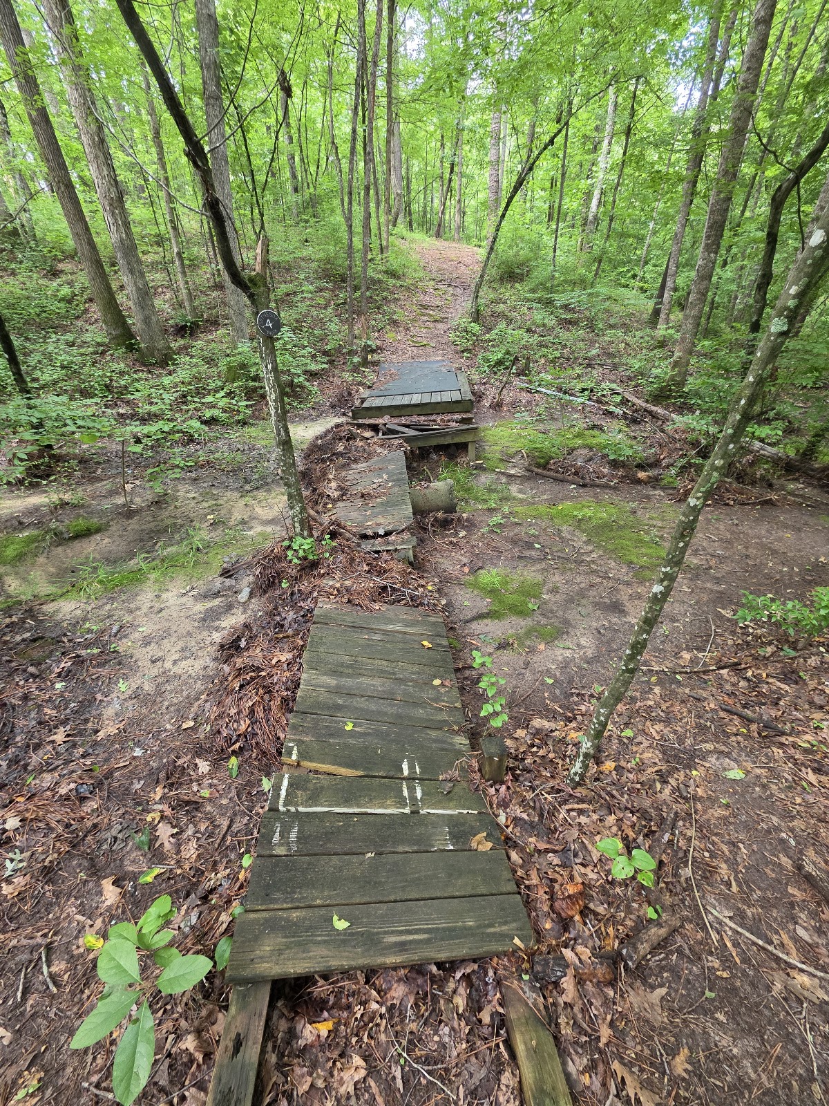 Bethesda Park - Photo 3