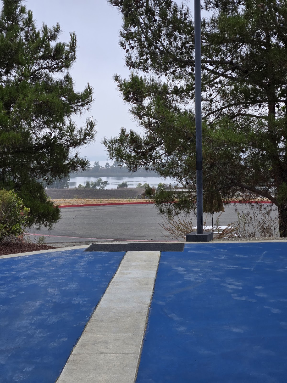 Better at Pickleball - Photo 3