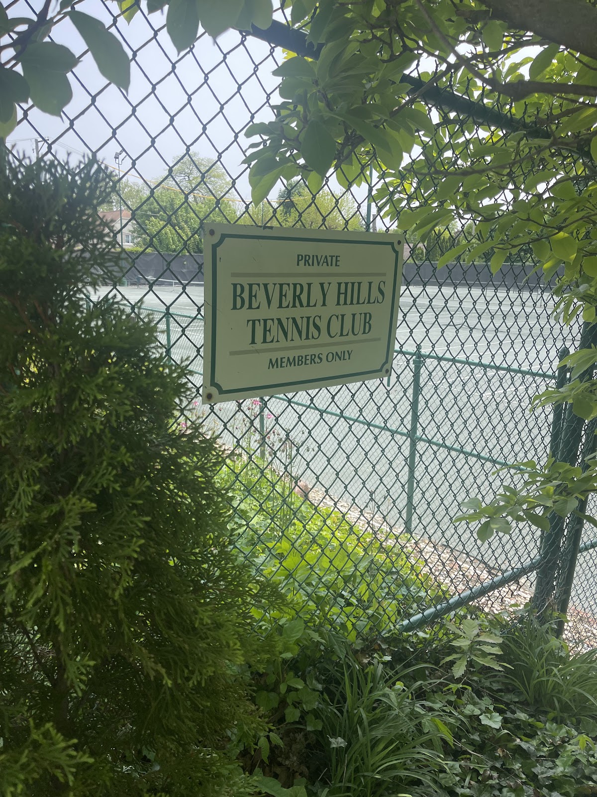 Beverly Hills Tennis Club - Photo 3