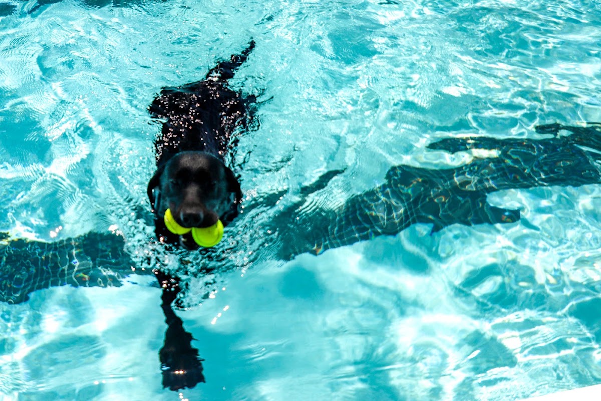 Bicentennial Outdoor Pool - Photo 3