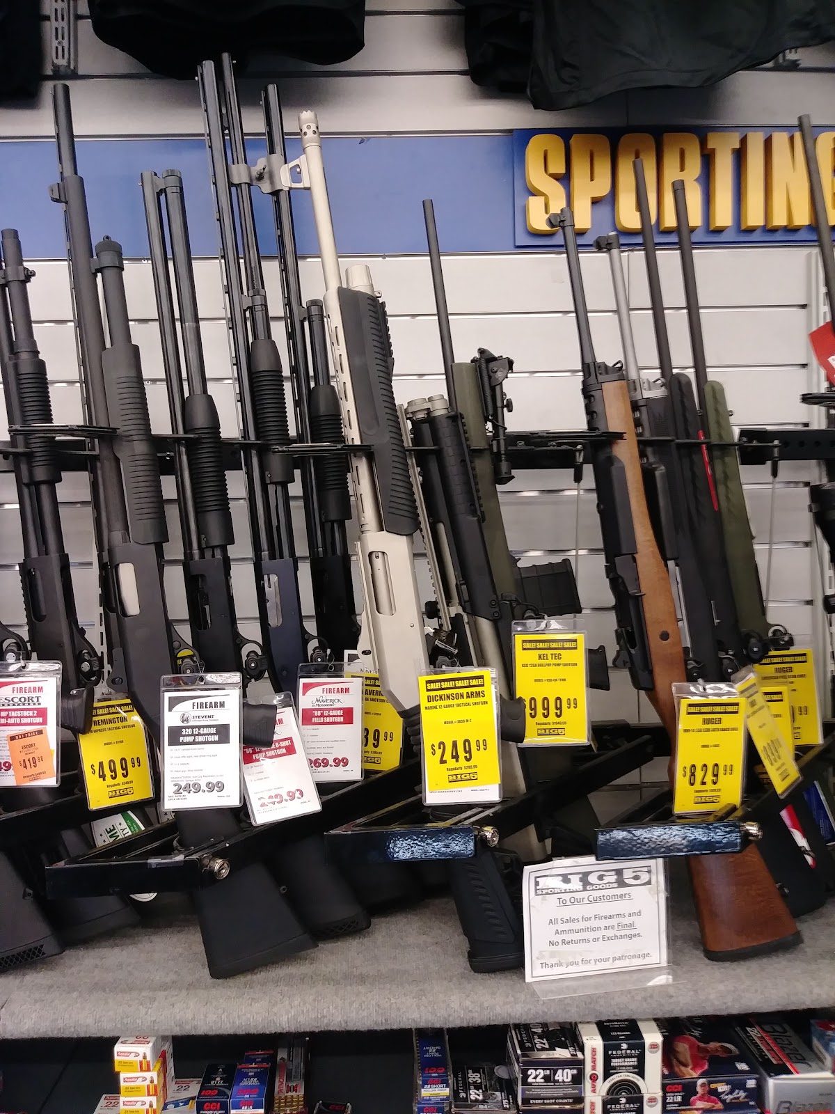 Big 5 Sporting Goods - Photo 3