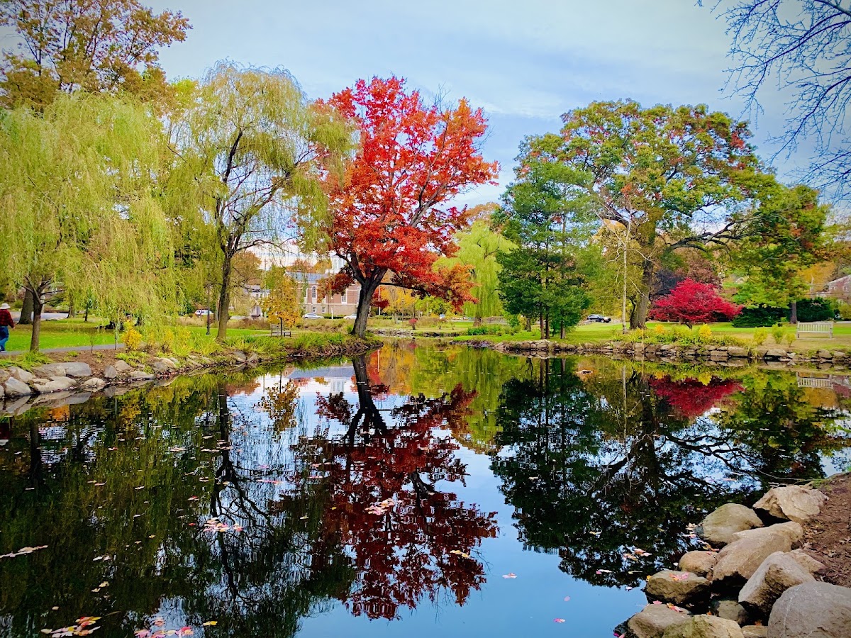 Binney Park - Photo 1