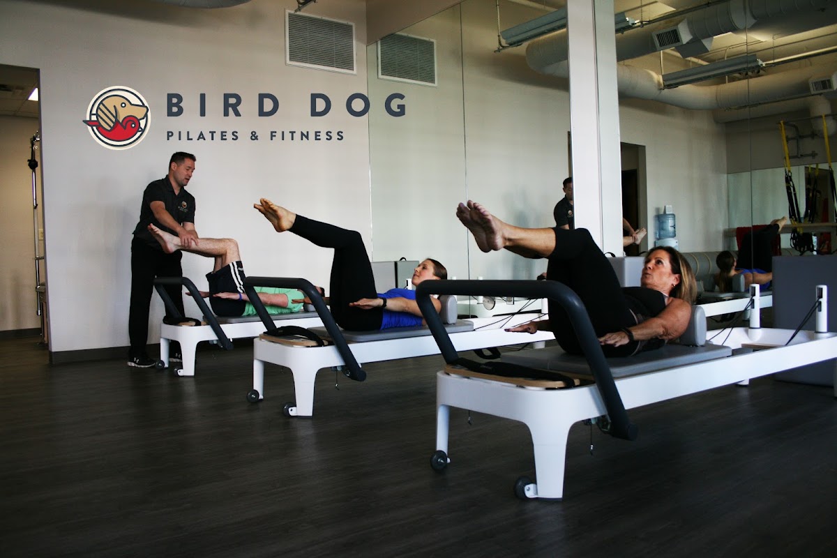 Bird Dog Pilates & Fitness - Photo 2