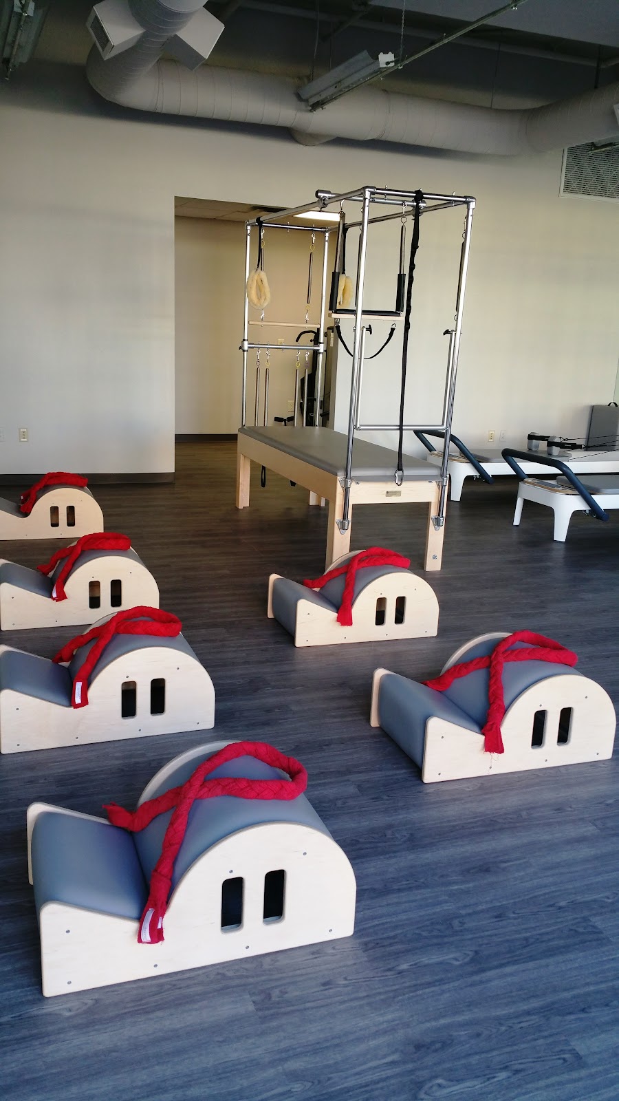 Bird Dog Pilates & Fitness - Photo 3