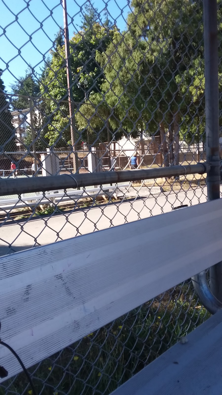 Bitter Lake Tennis Courts and Pickleball Courts - Photo 3