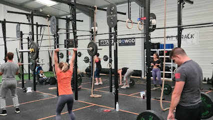 Black Falcon Functional Training - Photo principale