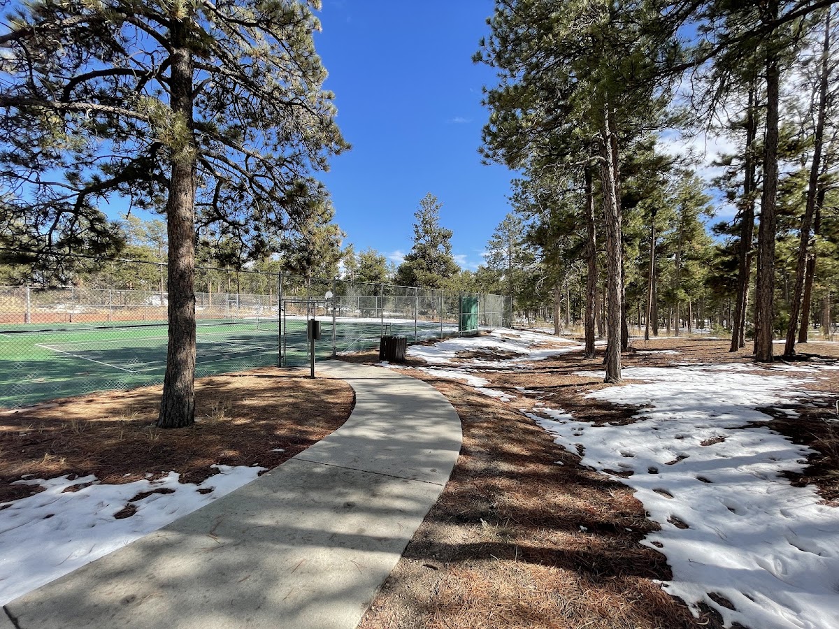 Black Forest Park Tennis Courts - Photo 3